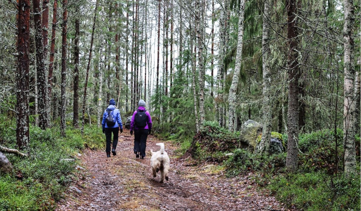 Två personer med hund vandrar i skogen