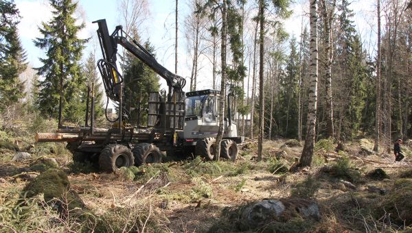 En skogsskördare i skogen